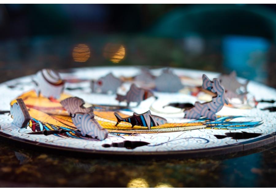 Деревянный, фигурный пазл EWA Карпы Кои (Рыбы) S 20x20 см