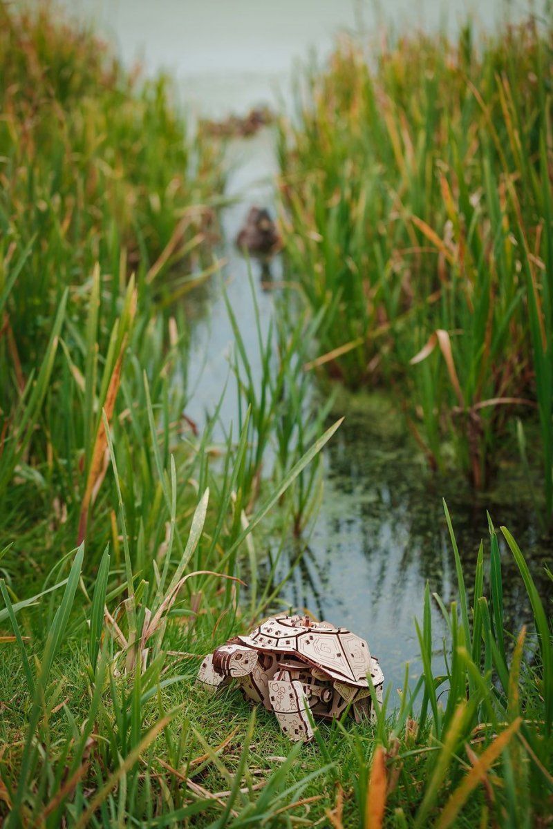 Конструктор деревянный 3D EWA Механическая Черепаха