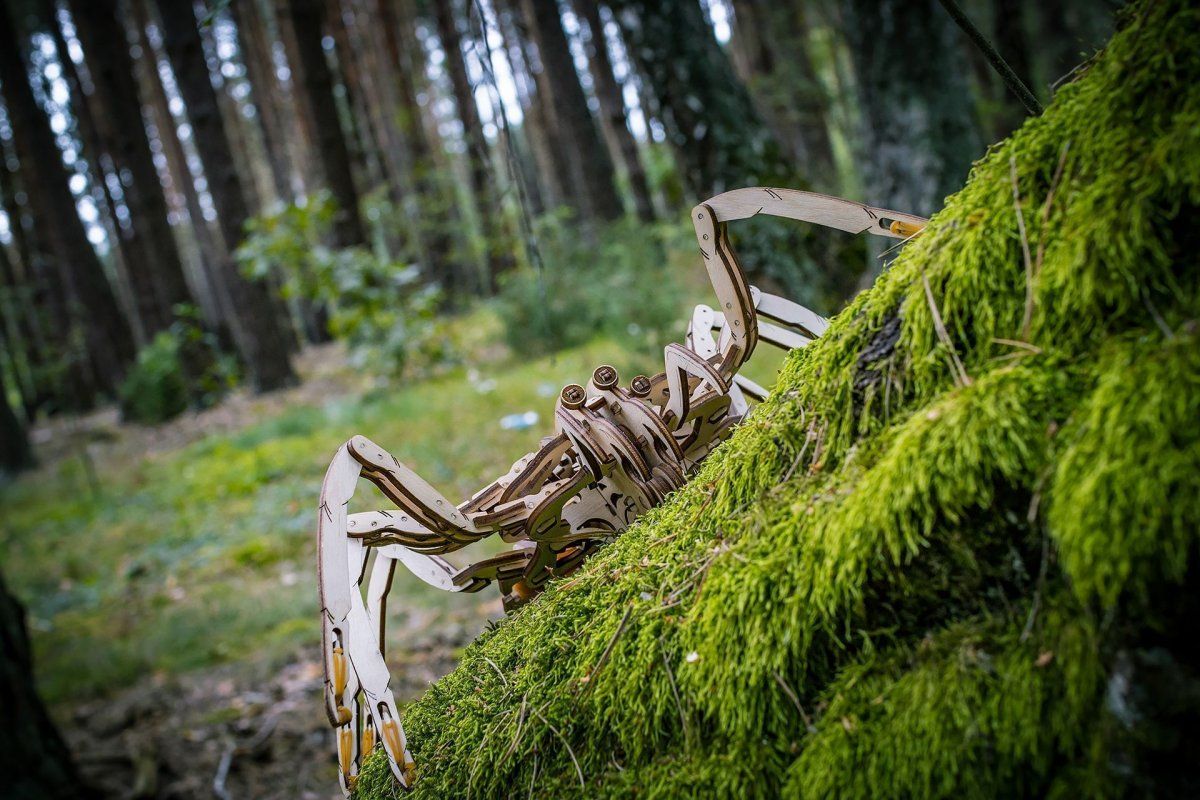 Конструктор деревянный 3D EWA SPIDER (Паук)