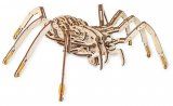 Конструктор деревянный 3D EWA SPIDER (Паук)