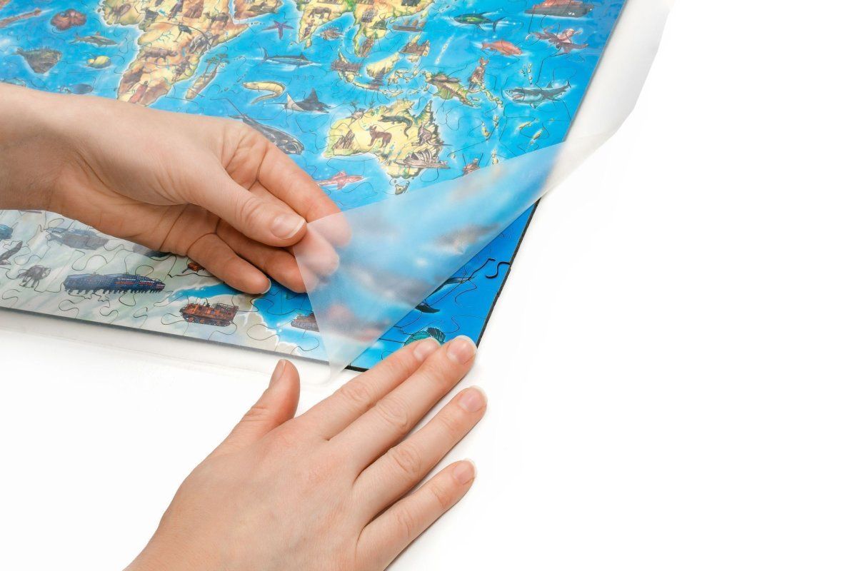 Деревянный пазл EWA Большая карта мира, 55x40 см, 501 деталь