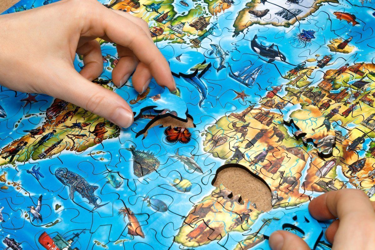 Деревянный пазл EWA Большая карта мира, 55x40 см, 501 деталь