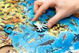 Деревянный пазл EWA Большая карта мира, 55x40 см, 501 деталь