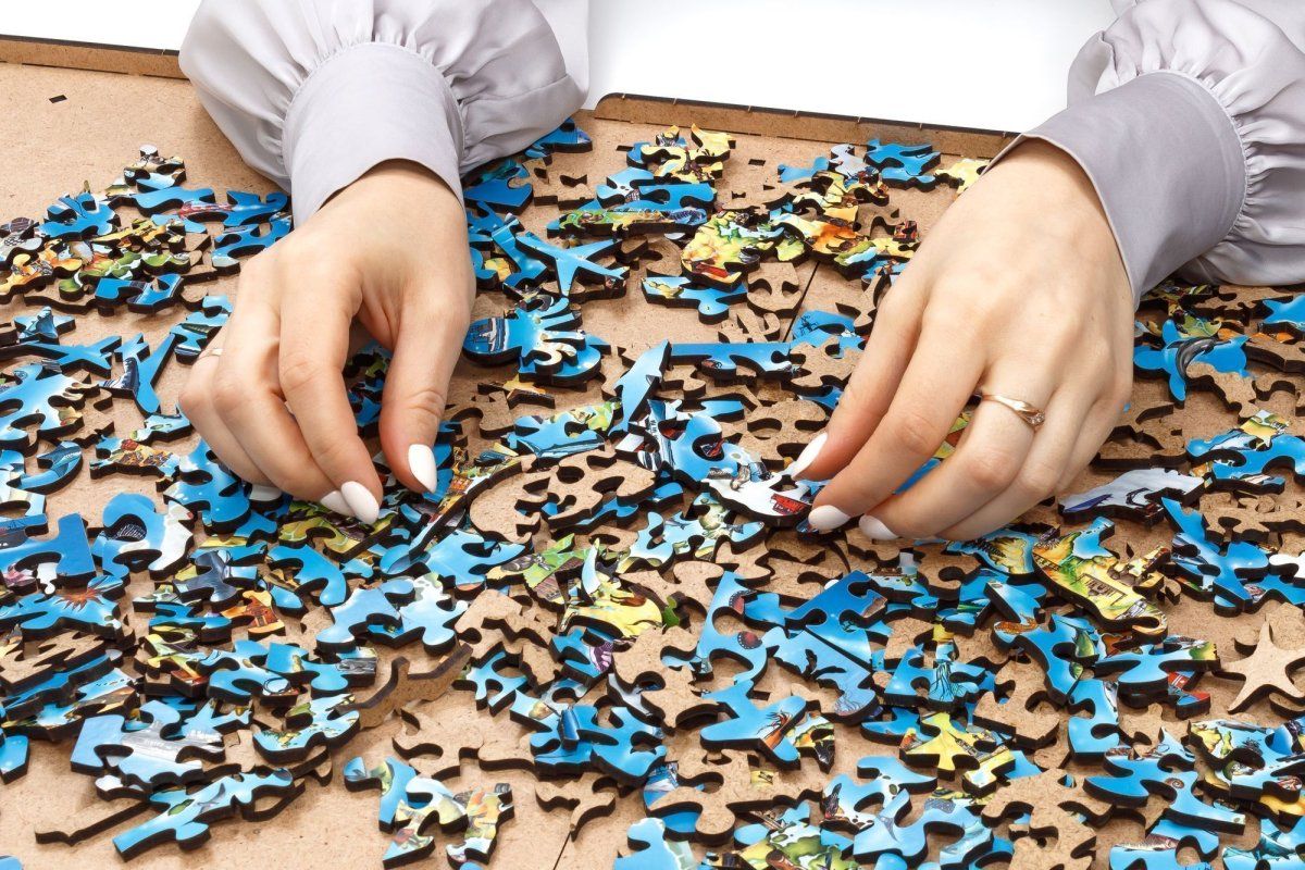 Деревянный пазл EWA Большая карта мира, 55x40 см, 501 деталь